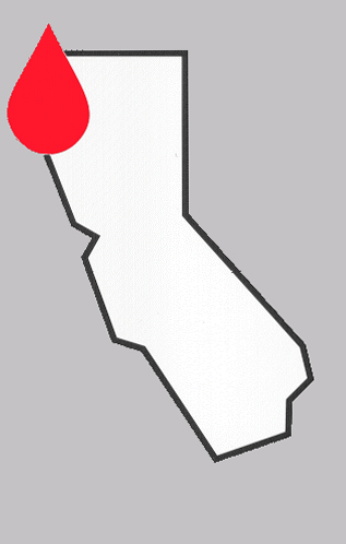 NCCBB Logo