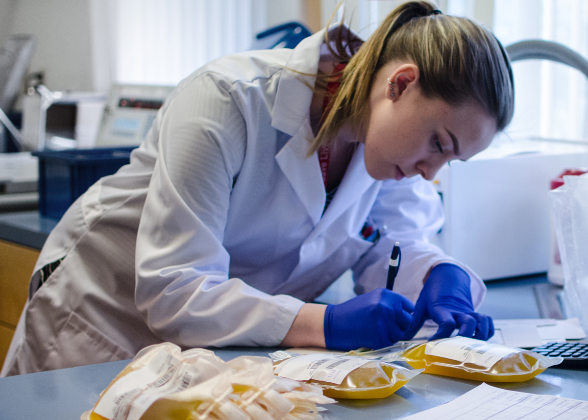 A clinical laboratory scientist handling separated plasma units